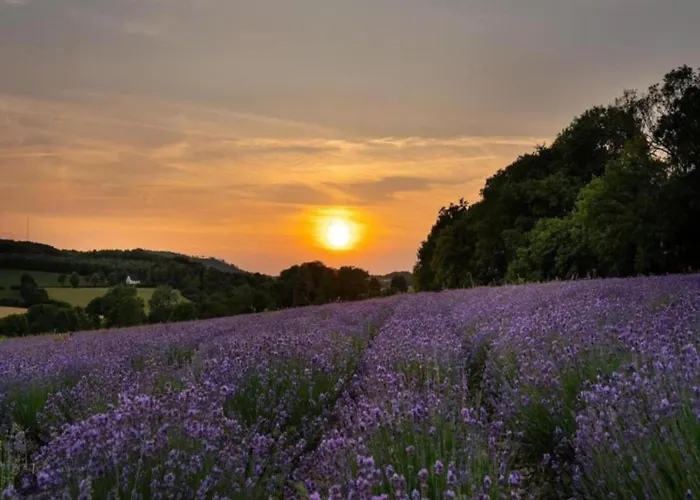 Апартаменты Mit Sauna *