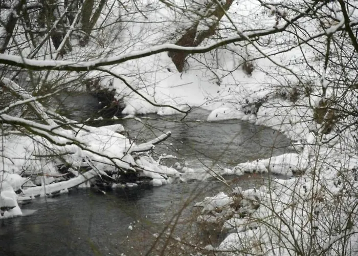 Апартаменты Mit Sauna Merlsheim